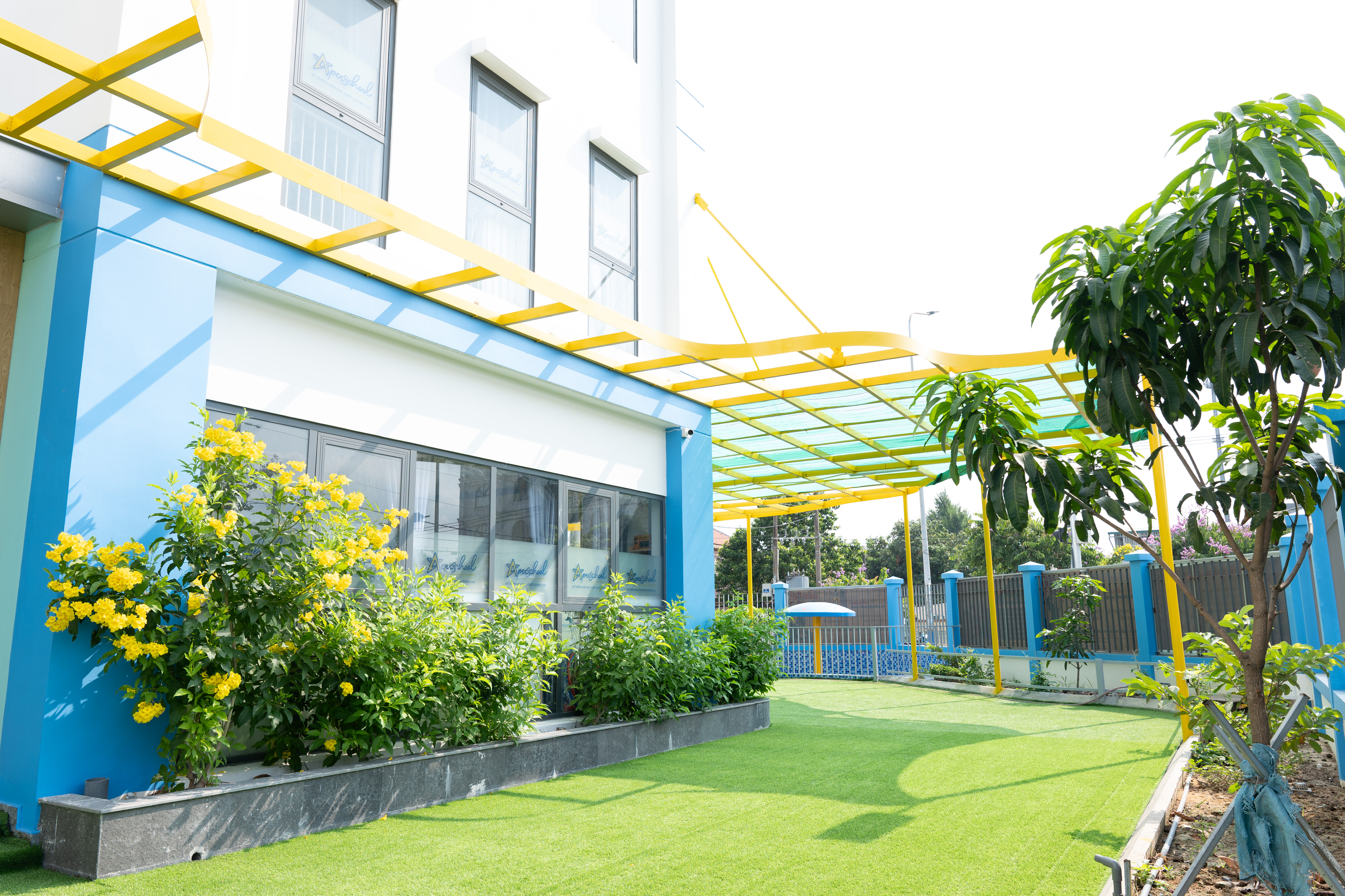 APEXSCHOOL