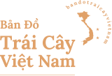 Vietnam Fruits Map