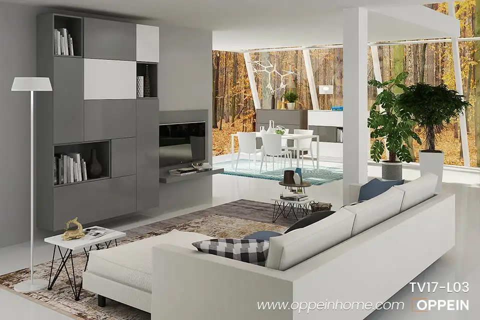 Modern Gray Wall Mounted TV Cabinet TV17-L03