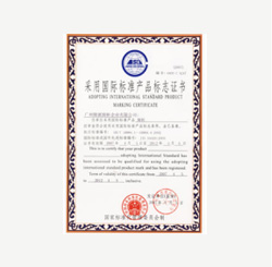 International Standard