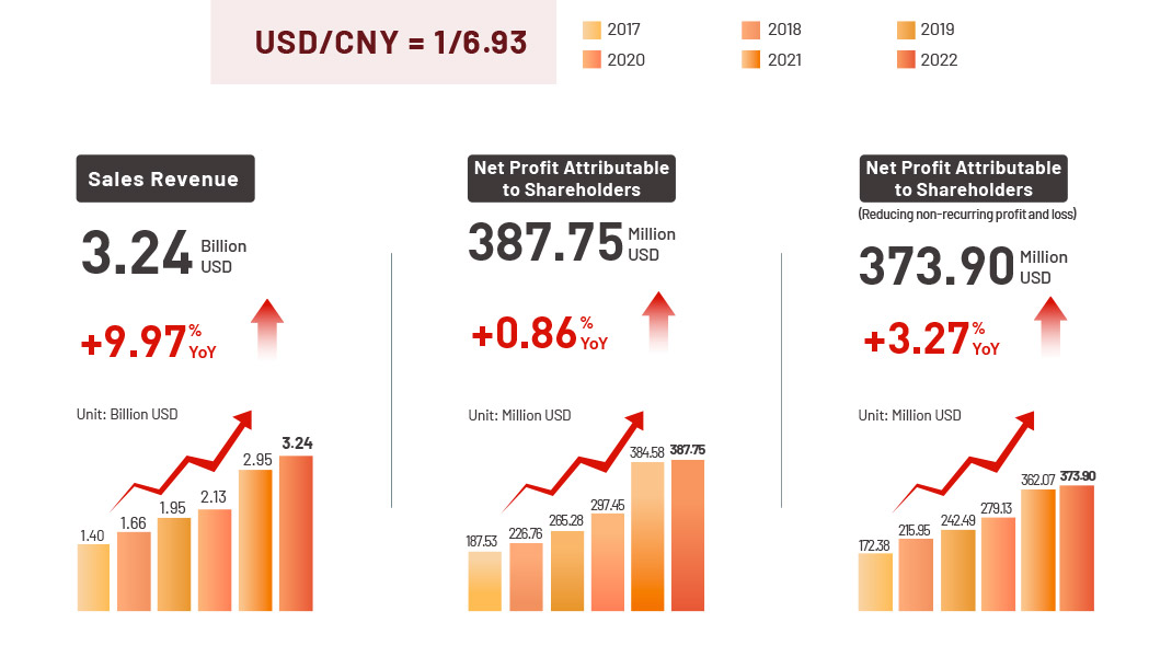 OPPEIN 2022 Financial Statements Review